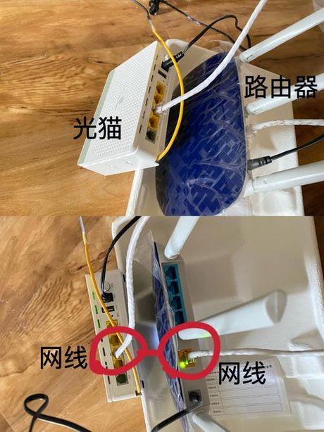 猫连接路由器：让你的网络更稳定更畅通