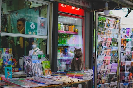 陈世峰家境揭晓:陈父开百货店 至于好在哪里