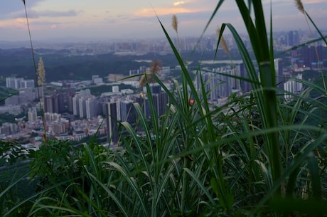 柯桥区，温州市的新兴发展区域