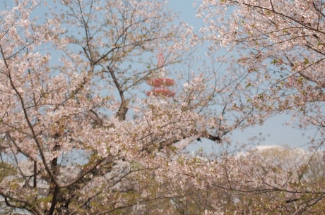 日出日出水来了太痒了 自从1月21日夜晚开始